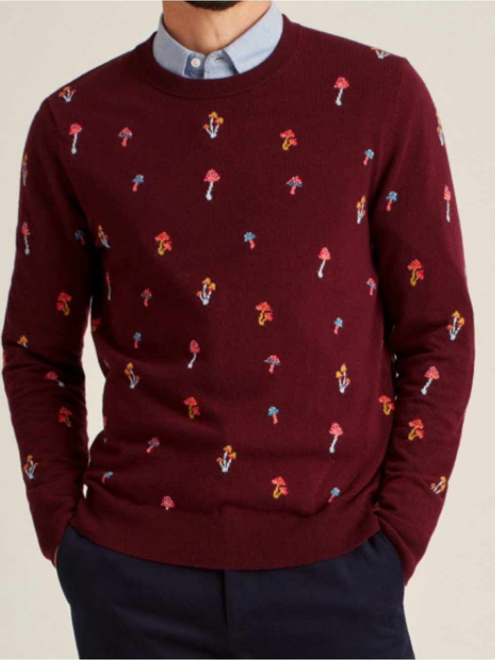 Bonobos Burgundy Crewneck Sweater with Embroidered Mushrooms